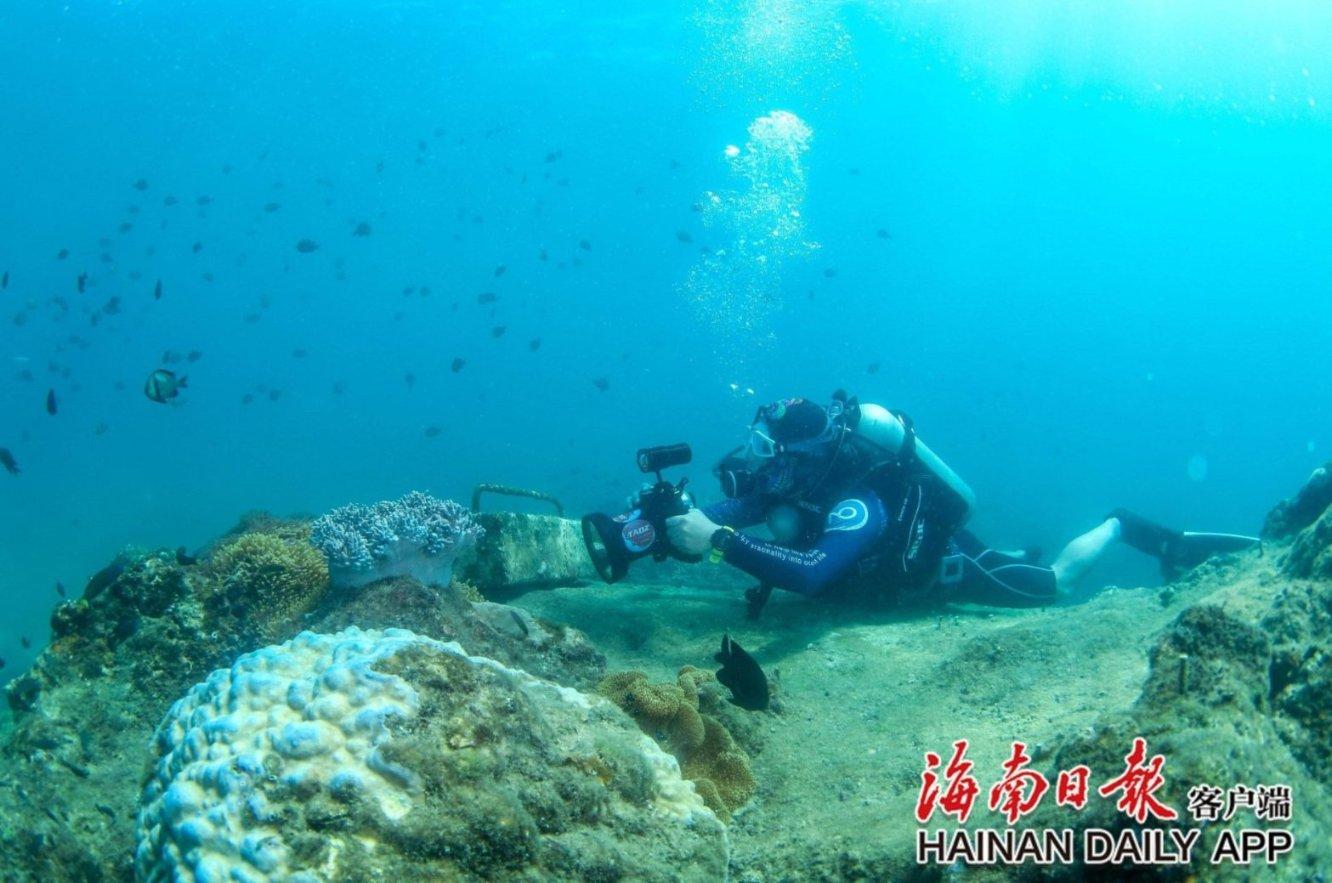 御术华医太极腹疗
